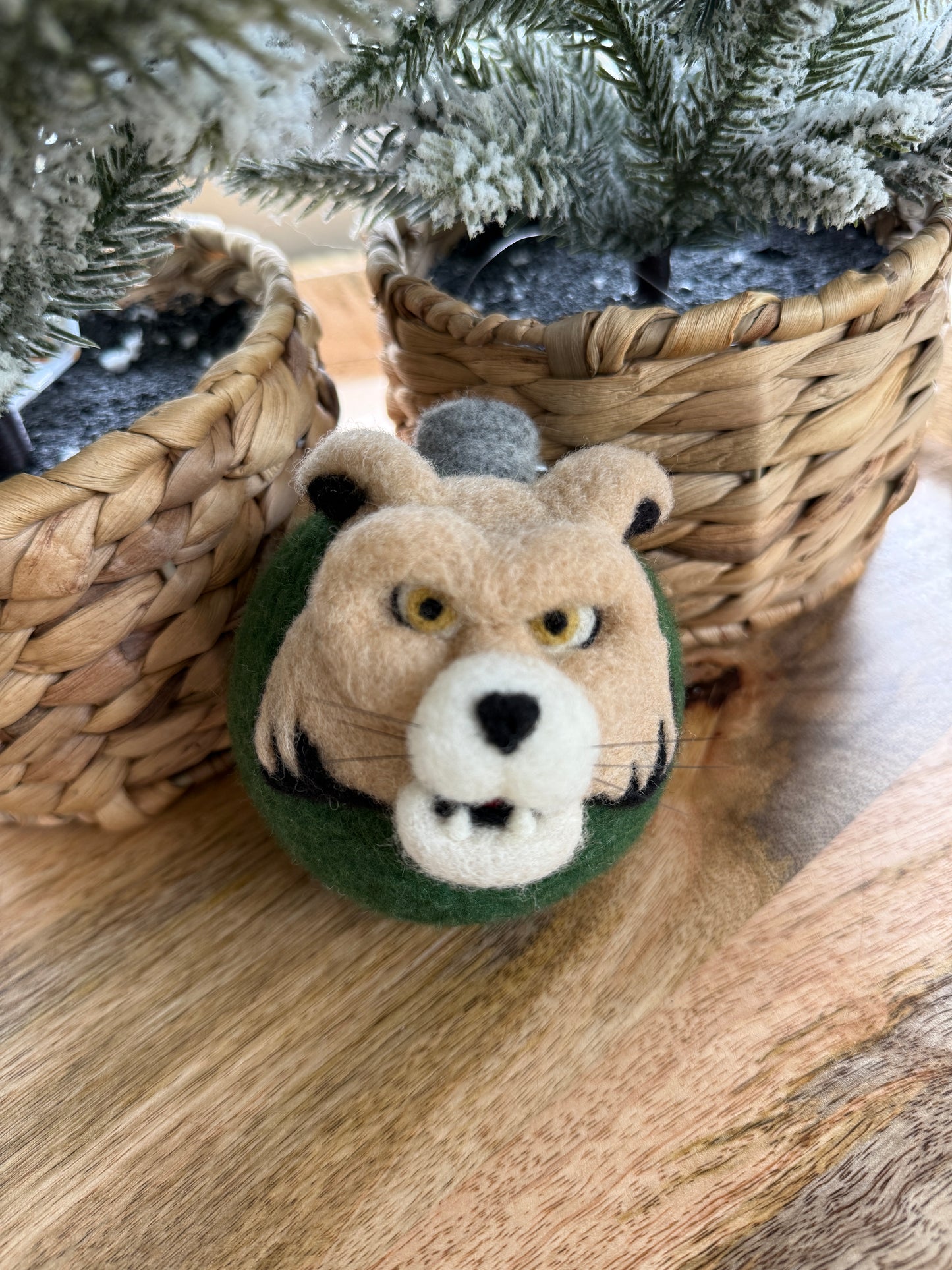 Ohio University - Rufus the Bobcat and Ohio text