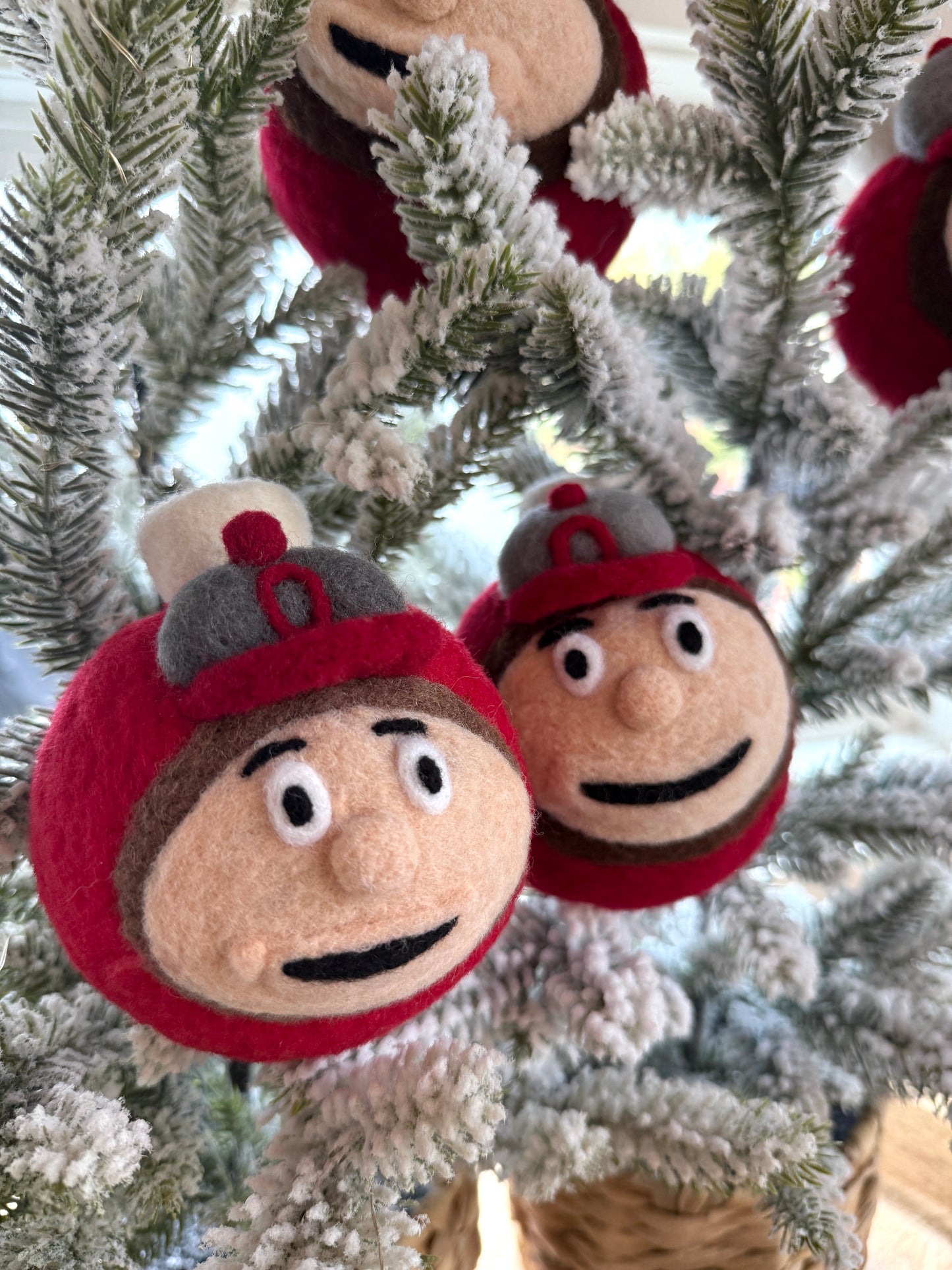 Brutus face on scarlet